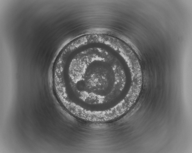 X0000111021083200907310927