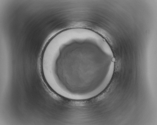 X0000111021086200907310927