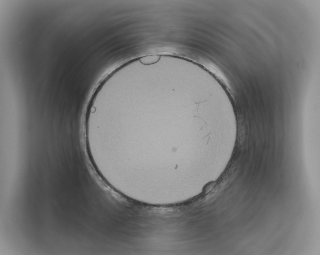 X0000111021088200907310927