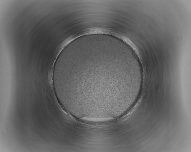 X0000111021089200907310927