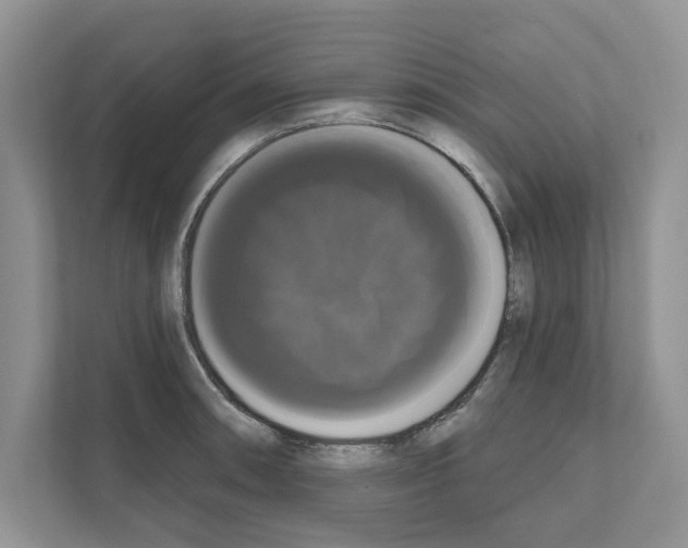 X0000111021090200907310927