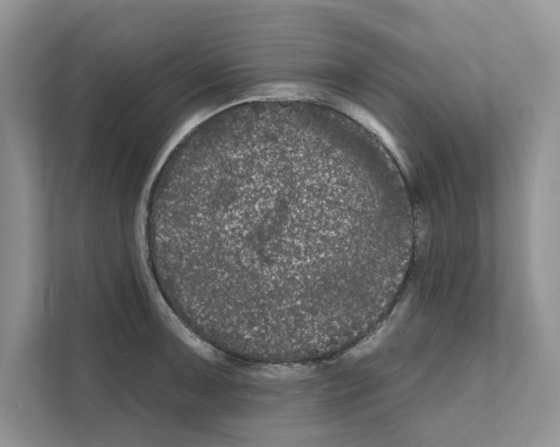 X0000111021091200907310927