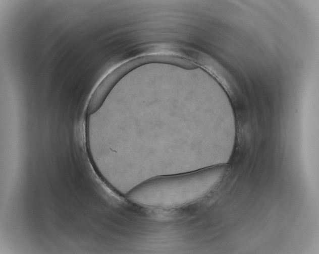 X0000111021092200907310927