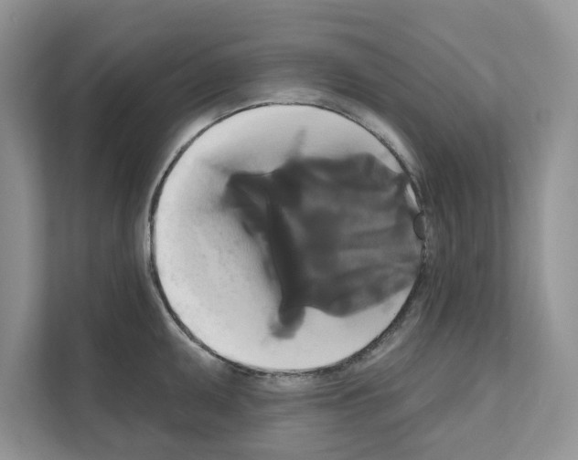 X0000111021095200907310927