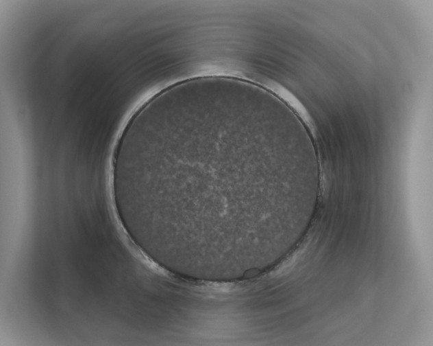 X0000111021096200907310927