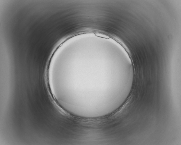 X0000111021098200907310926