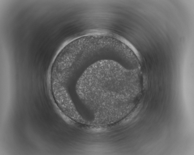 X0000111021099200907310926
