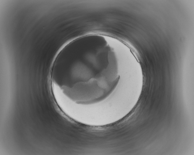 X0000111021100200907310926