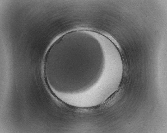 X0000111021101200907310926