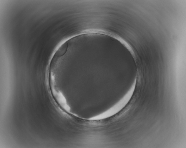 X0000111021102200907310926