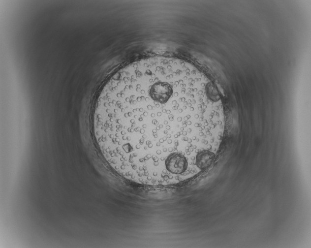 X0000111021105200907310926