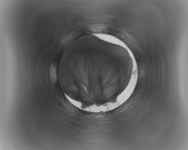 X0000111021106200907310926