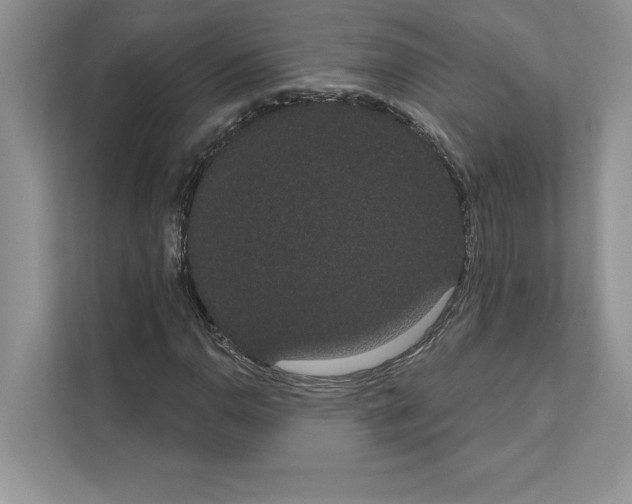 X0000111021110200907310926