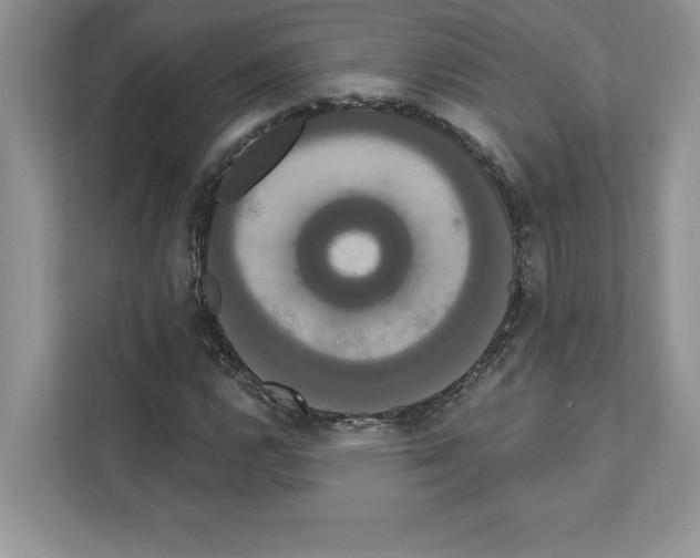 X0000111021112200907310926