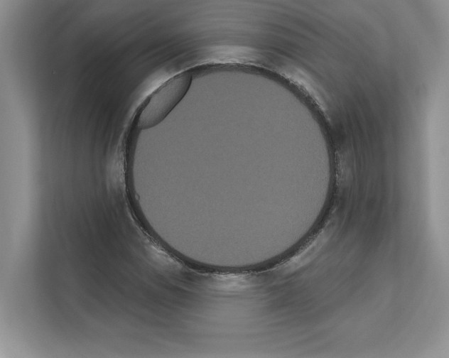 X0000111021114200907310926