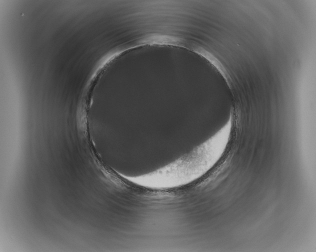 X0000111021115200907310926