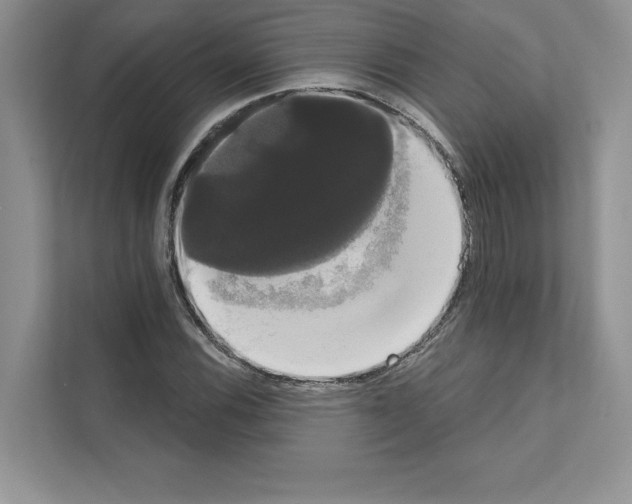 X0000111021116200907310926