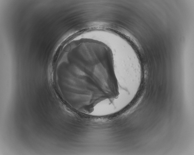 X0000111021117200907310926