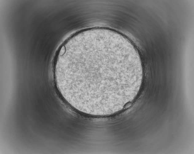 X0000111021118200907310926