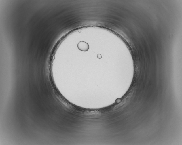 X0000111021119200907310926