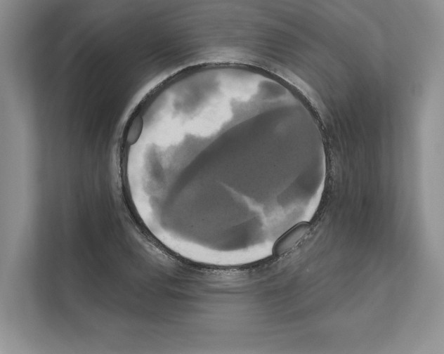 X0000111021120200907310926