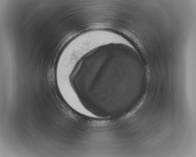 X0000111021121200907310926