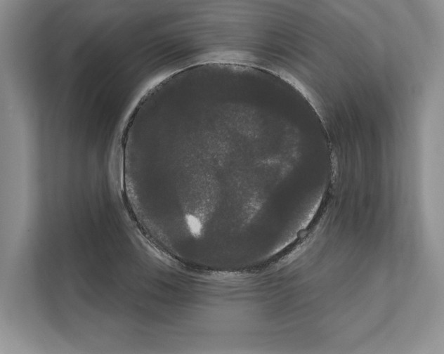 X0000111021123200907310926