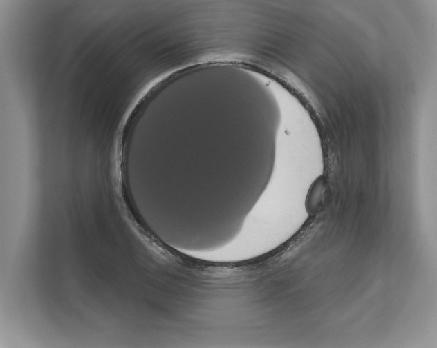 X0000111021124200907310926