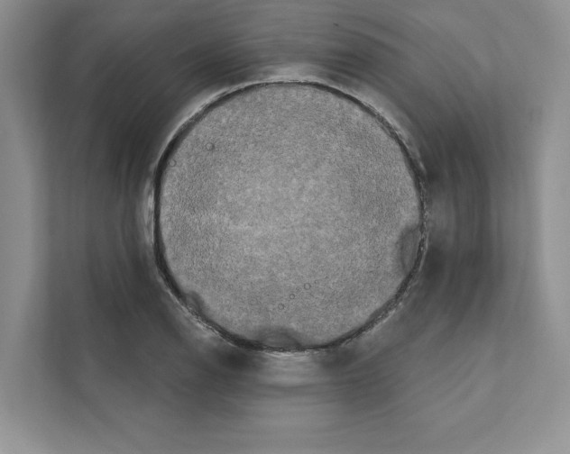 X0000111021126200907310926