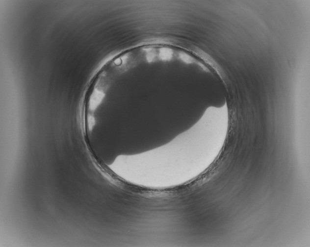 X0000111021127200907310926