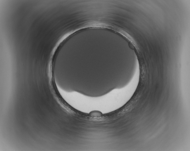 X0000111021128200907310926
