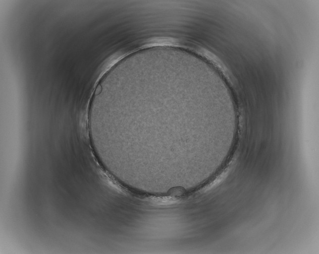 X0000111021129200907310926