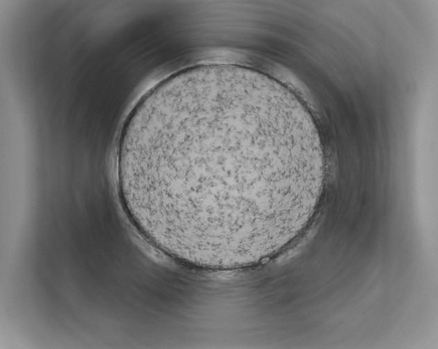 X0000111021130200907310926