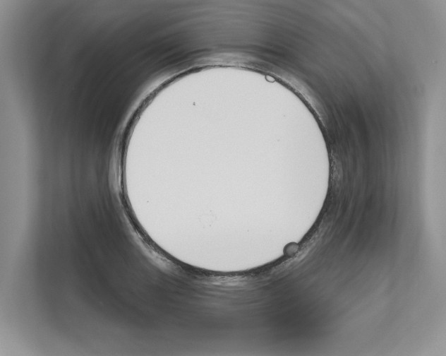 X0000111021131200907310926