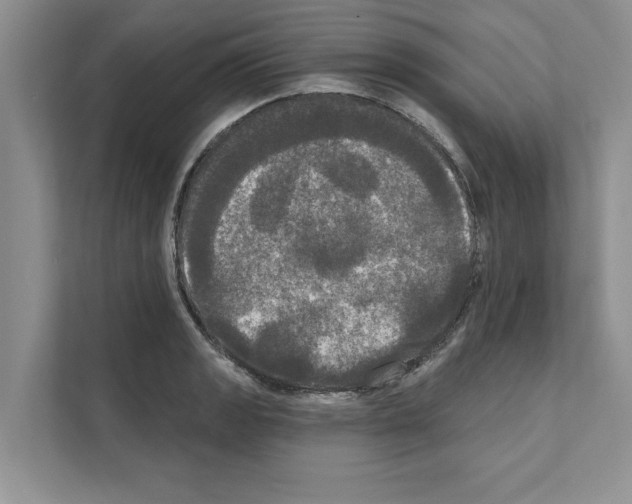 X0000111021133200907310926