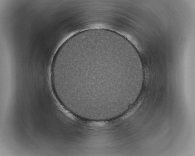 X0000111021134200907310926