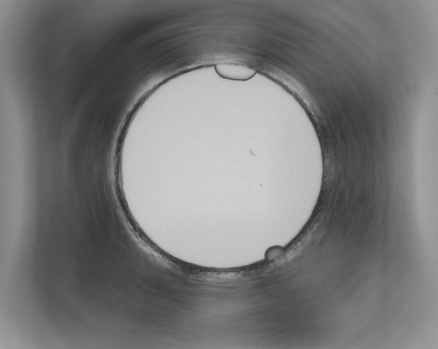 X0000111021135200907310926