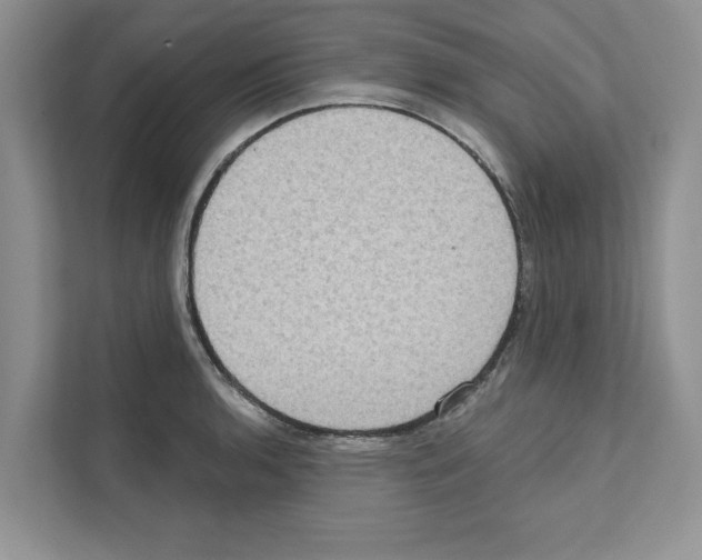 X0000111021136200907310926