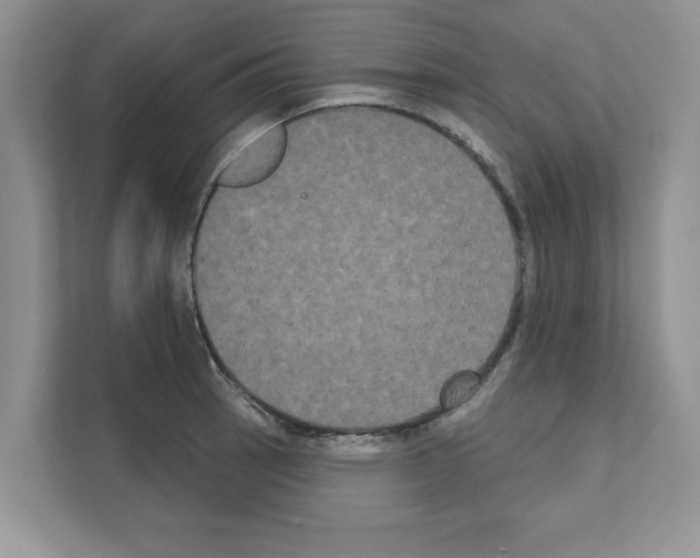 X0000111021137200907310926