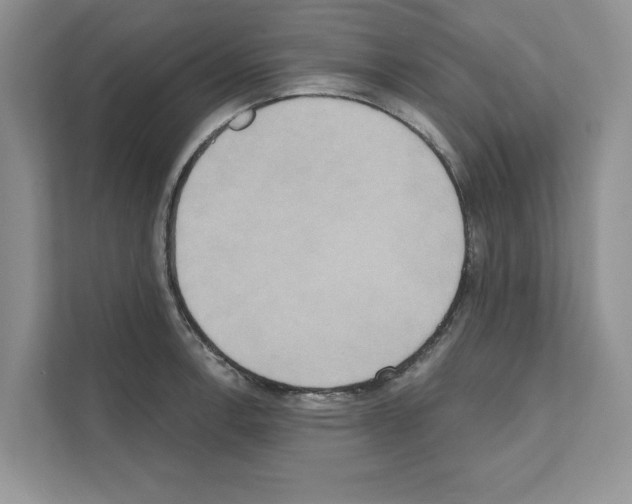 X0000111021138200907310926