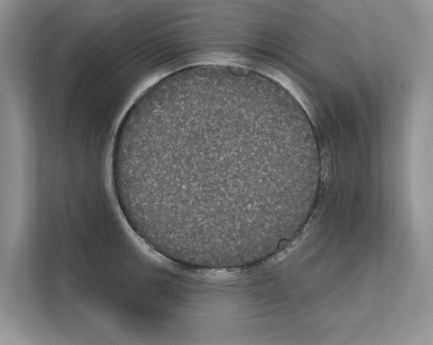 X0000111021139200907310926