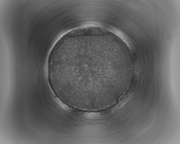 X0000111021140200907310926