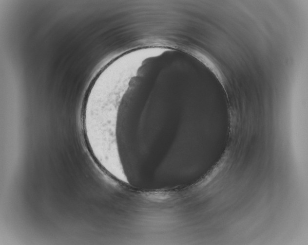 X0000111021141200907310926