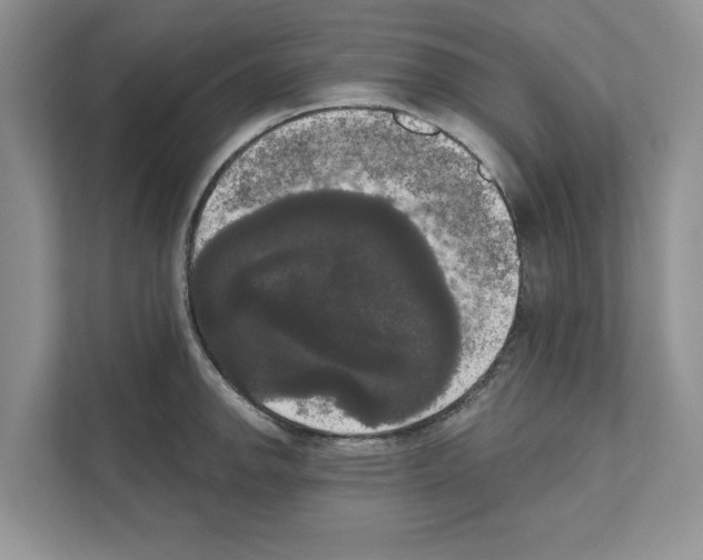 X0000111021142200907310926