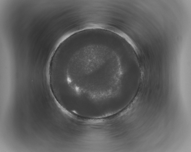 X0000111021143200907310926