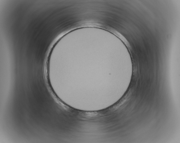 X0000111021144200907310926