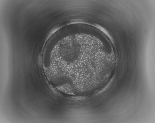 X0000111021145200907310926