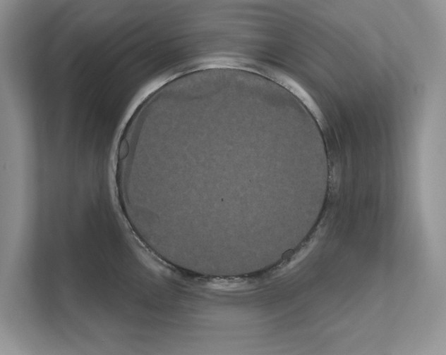 X0000111021146200907310926