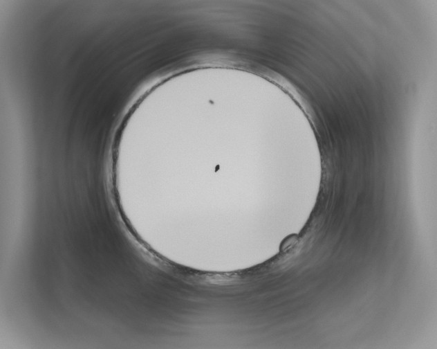 X0000111021147200907310926