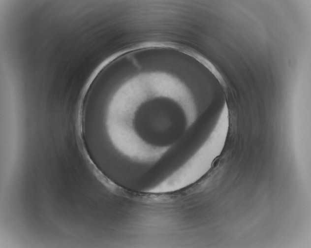 X0000111021148200907310926